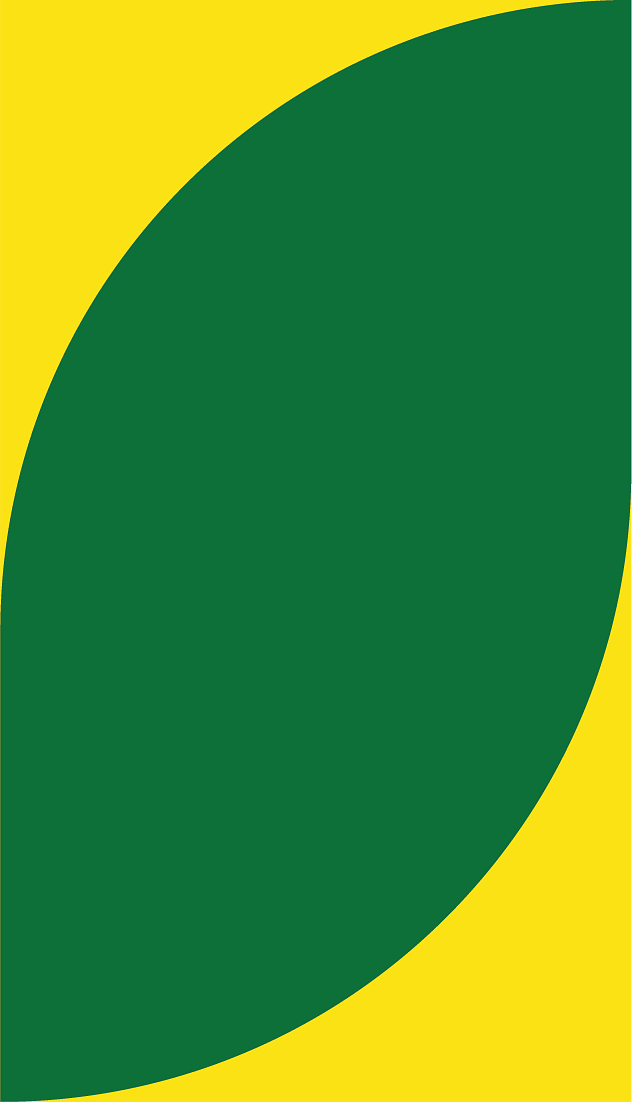 green and yellow pattern 